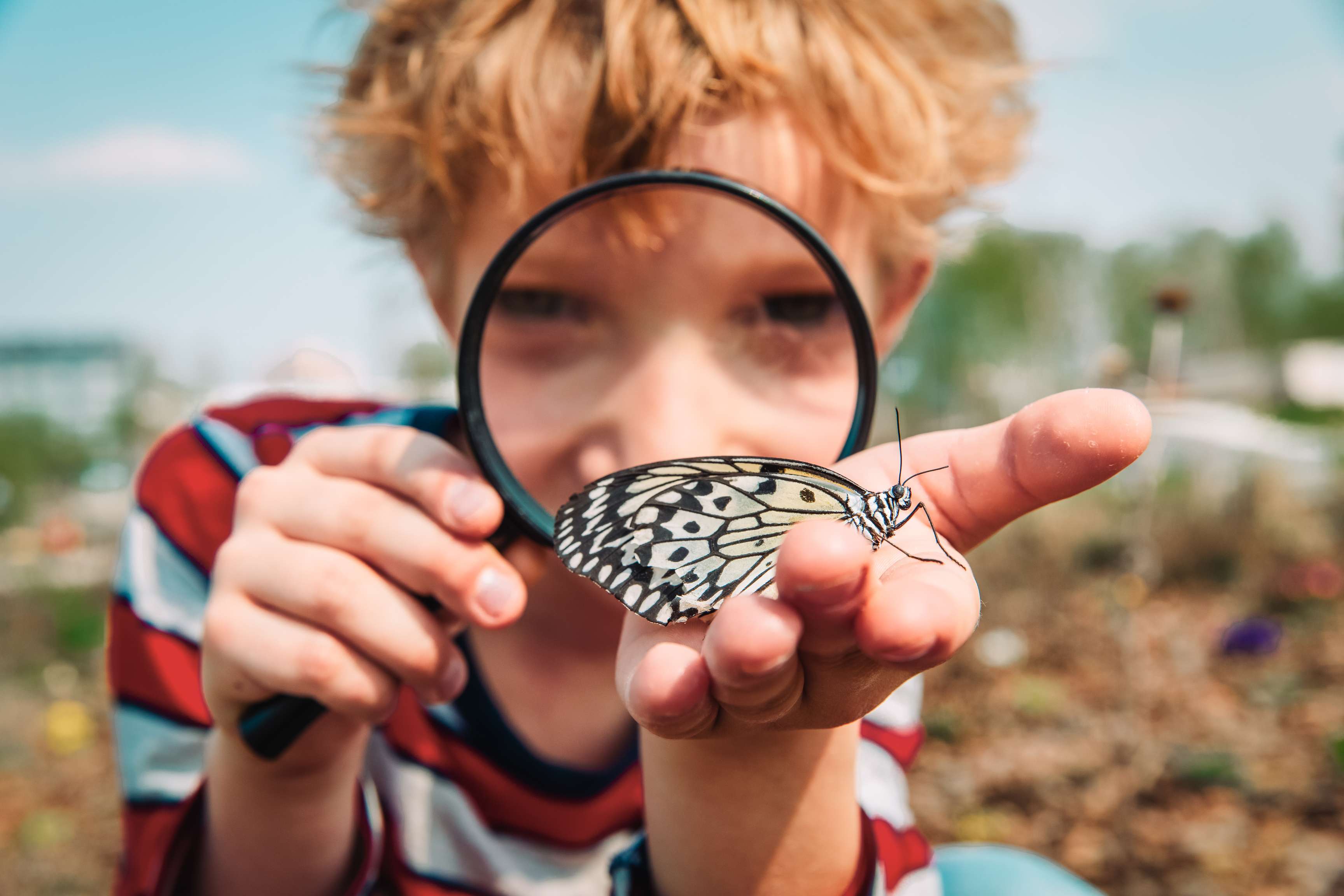 nxt generation Junge entdeckt durch eine Lupe einen Schmetterling