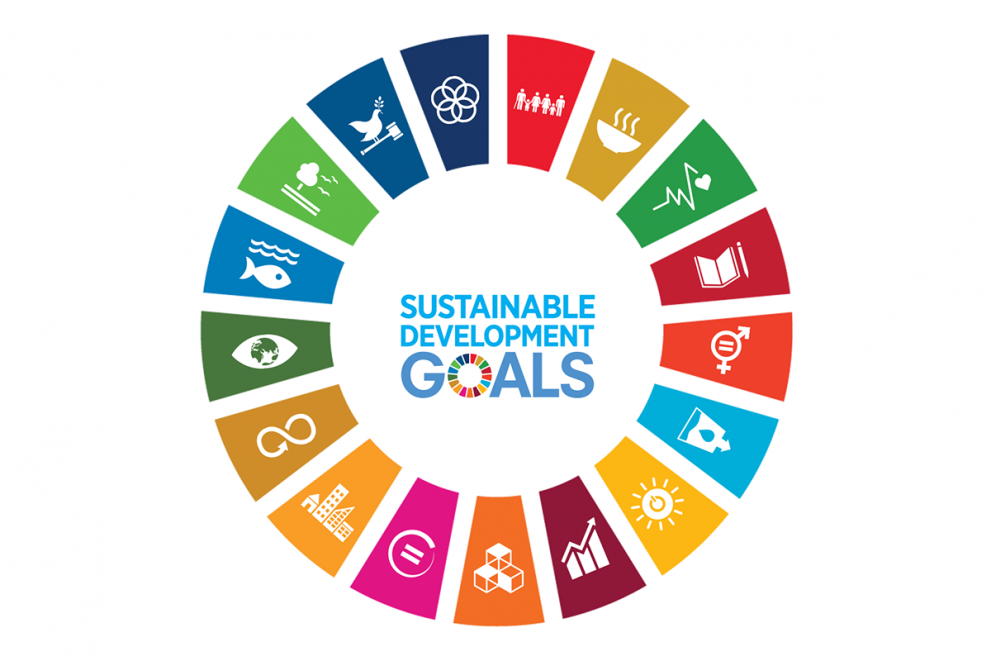 UN Sustainability Goals