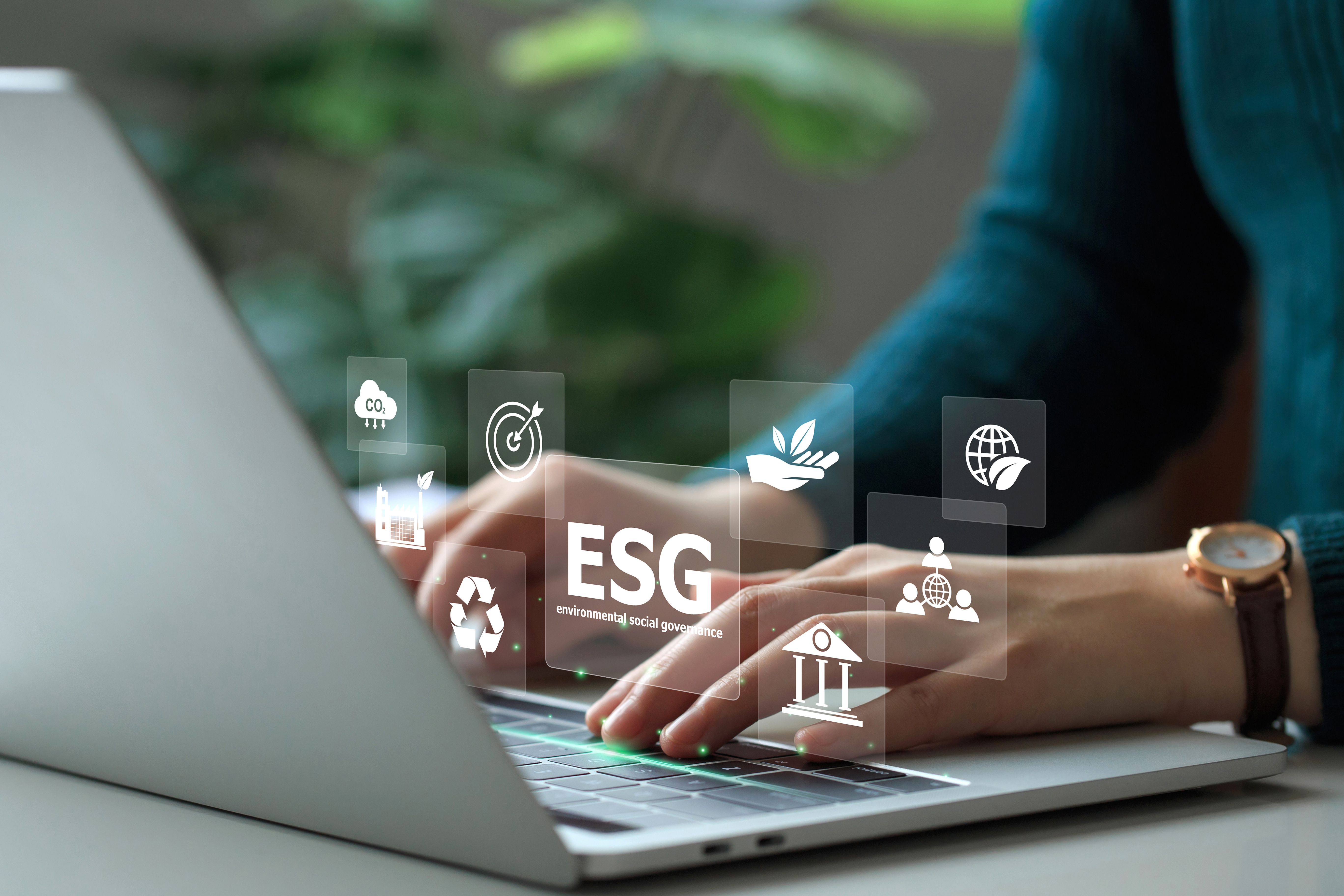 Commitment to Sustainability and Compliance | Rosenxt